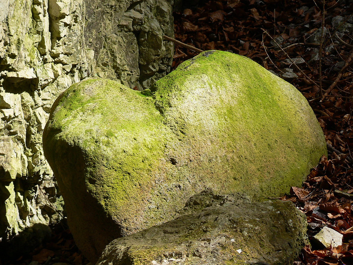 hadia-dolina-a-fintova-–-bralne-perly-starohorskych-vrchov-