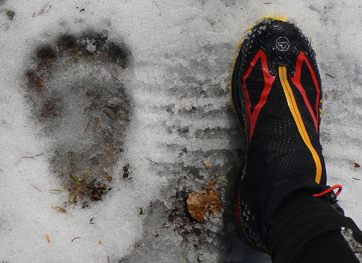 utek-z-okresu-po-medvedich-stopach