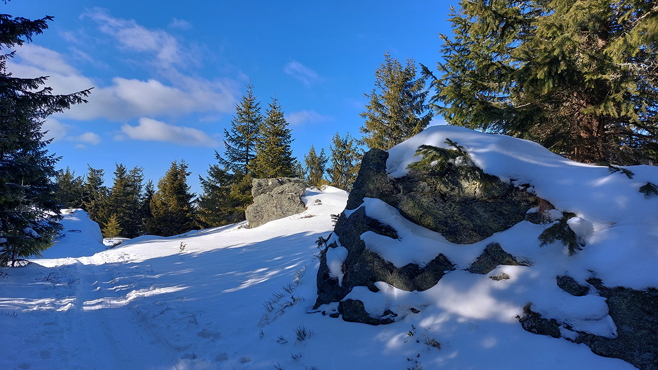 Vrcholové_bralká...