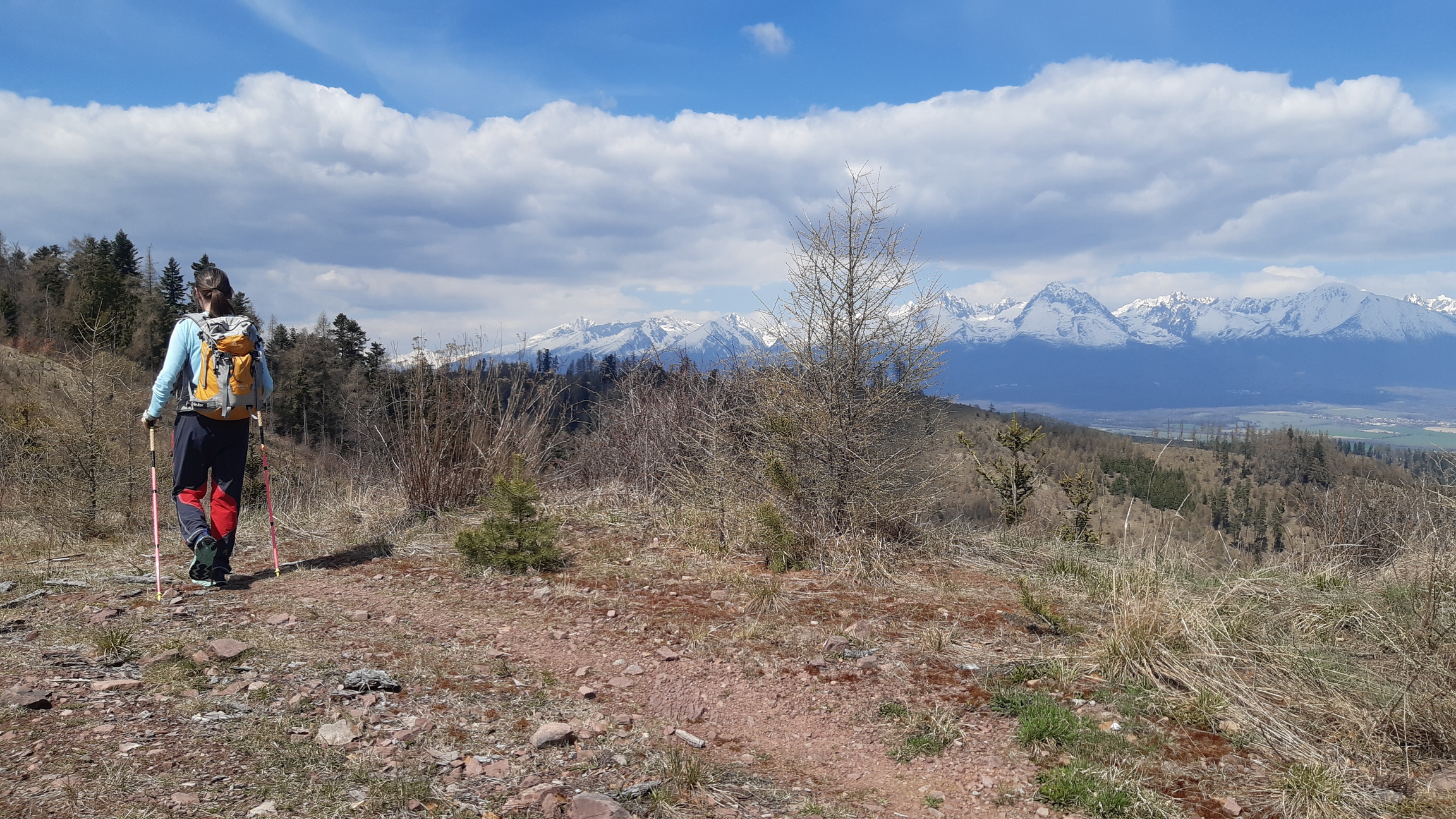 kozi-direkt-z-visovej