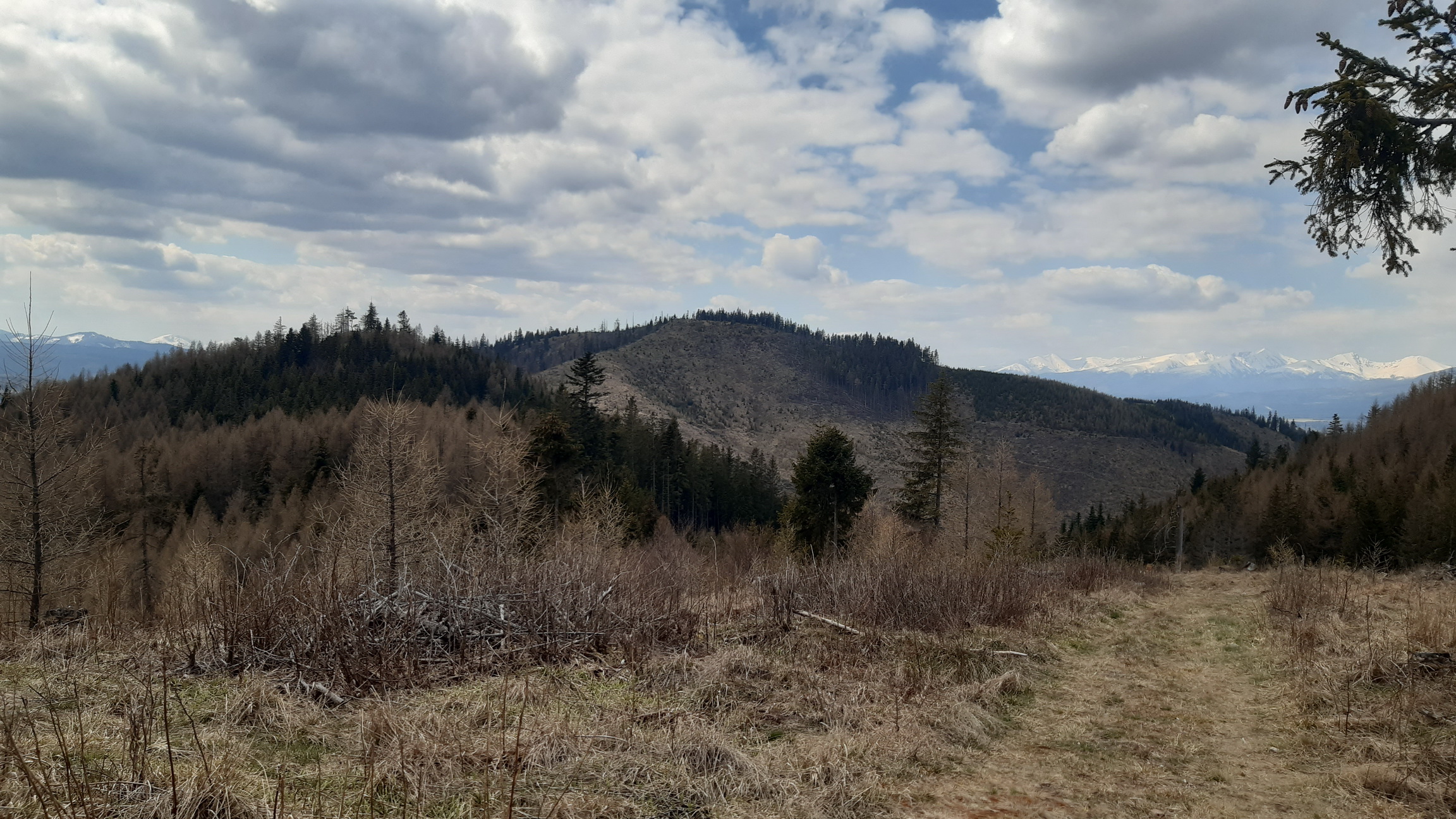 Kozí_kameň_už_vidno_v_pozadí