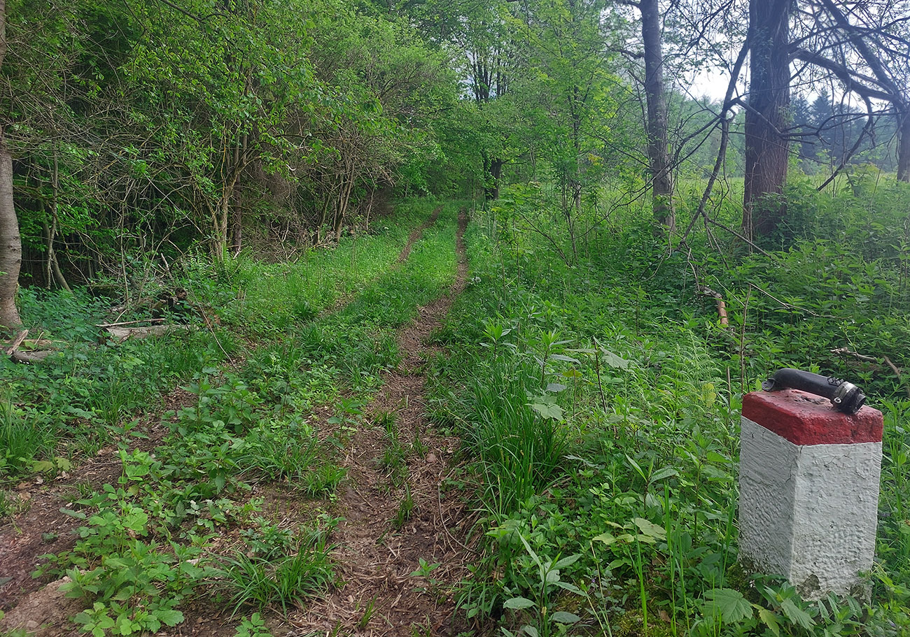 ...aby som sa pri prvých hraničných kameňoch ponoril do lesa. ...aby_som_sa_pri_prvých_hraničných_kameňoch_ponoril_do_lesa.