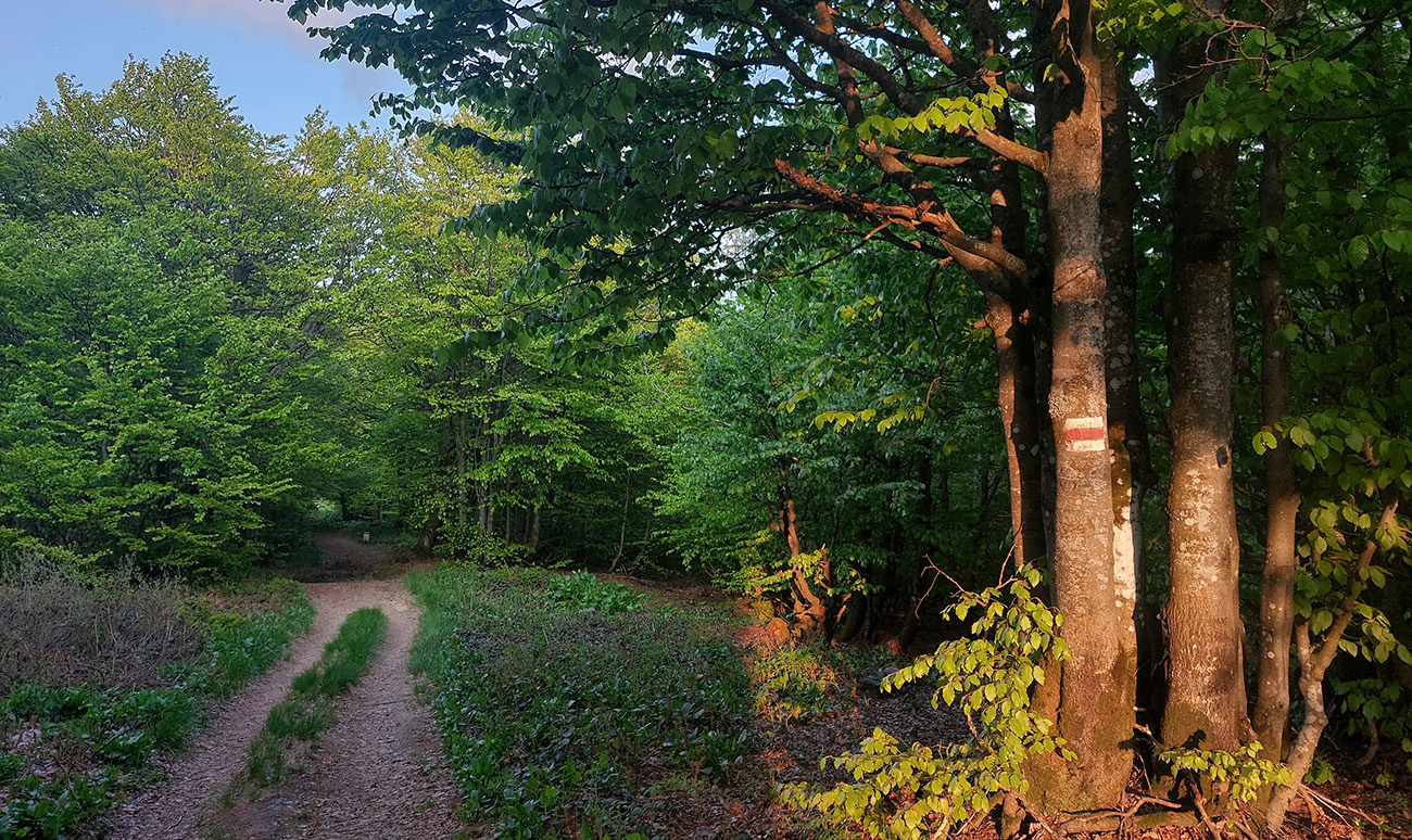 Farebný podvečer za odmenu, pod Hrúbkami (1186 m). Farebný_podvečer_za_odmenu,_pod_Hrúbkami_(1186_m).