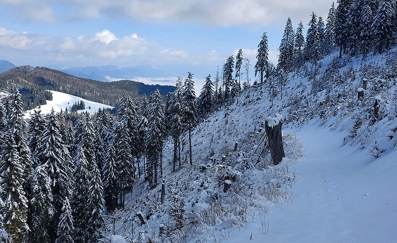 ...a_kúsok_dole_cez_rúbaň_dosť_snehu_na_odjazd.