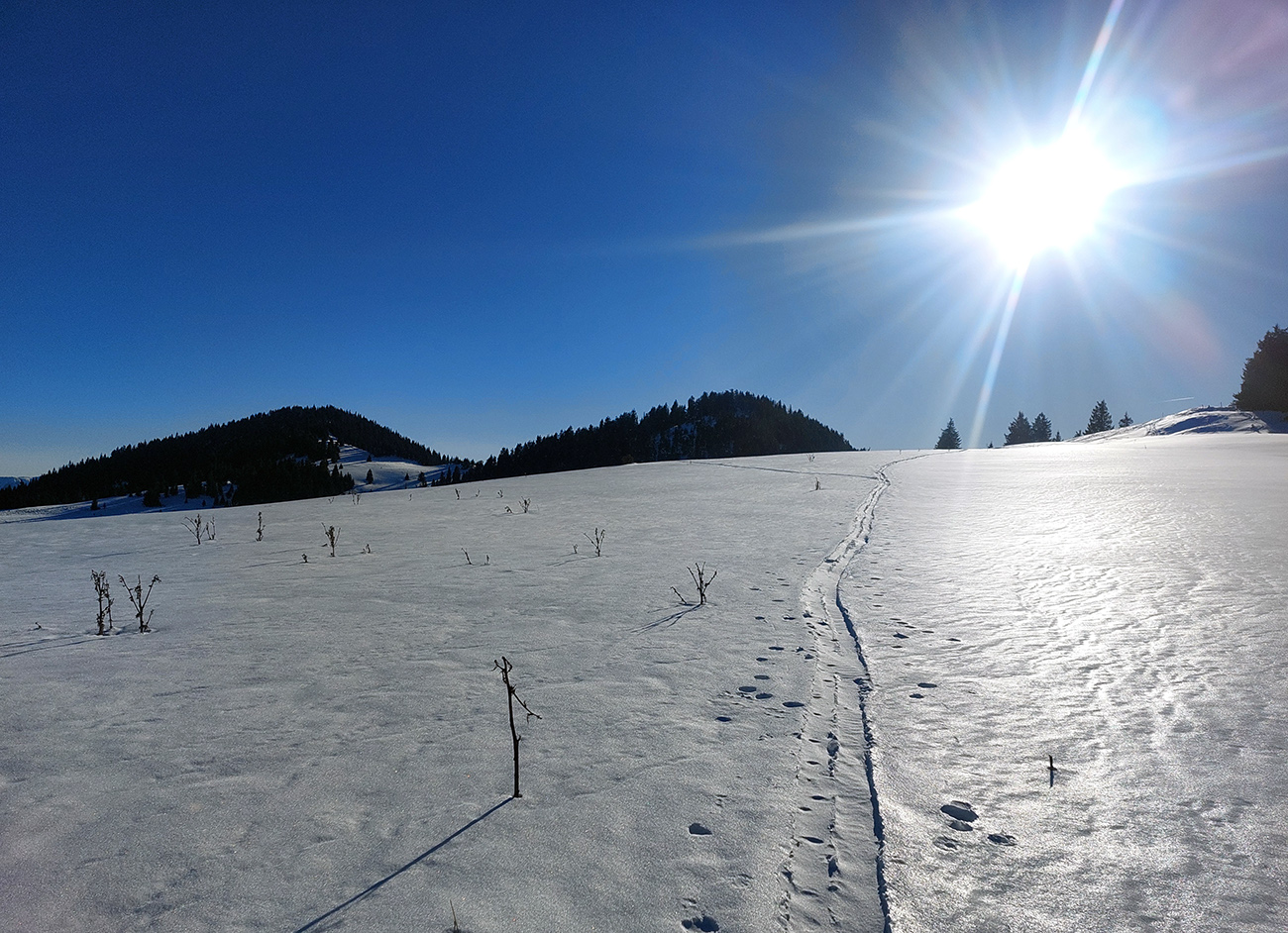 medvedou-cestou-do-doliny-bystro