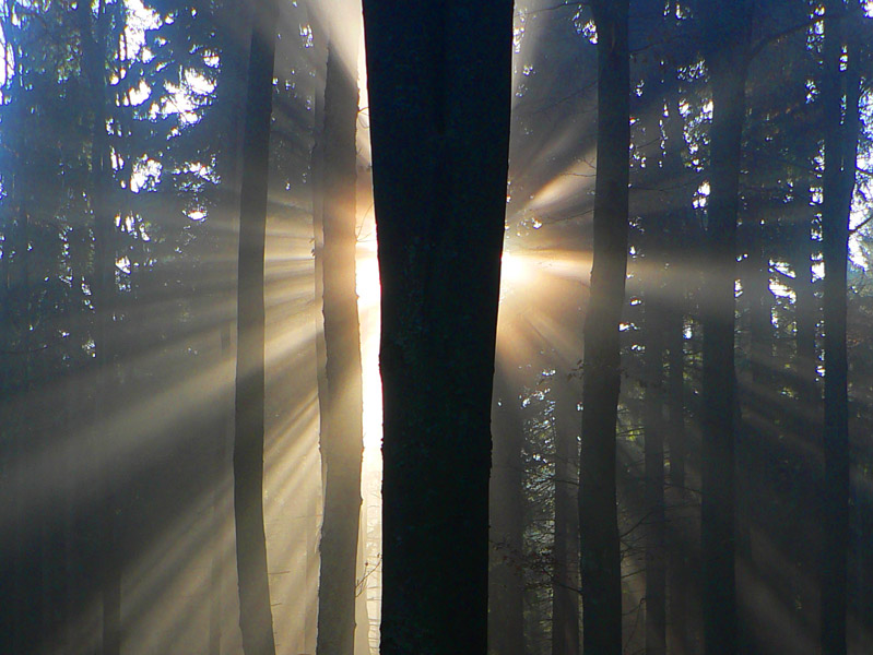 sever-hrebena-kremnickych-vrchov